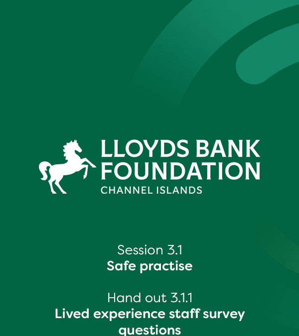 Session 3.1.1 HO Lived Experience Survey Questions
